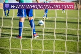 摩洛哥与挪威足球比赛控球率与射门次数分析